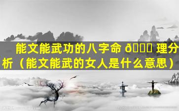 能文能武功的八字命 🐋 理分析（能文能武的女人是什么意思）